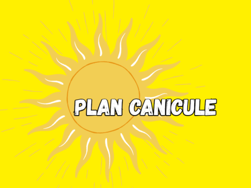 PLAN CANICULE 2