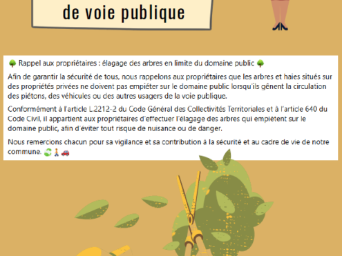 ELAGAGE EN BORDURE DE VOIE PUBLIQUE