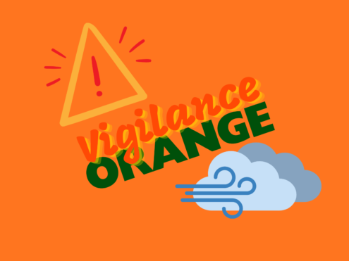 VIGILANCE ORANGE LOGO
